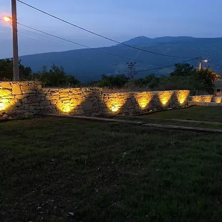Telma